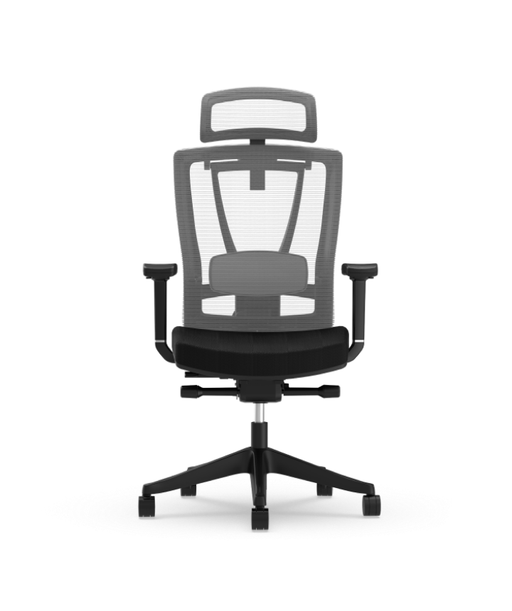 FlexiSpot BS14 Pro Ergonomischer Bürostuhl in Schwarz