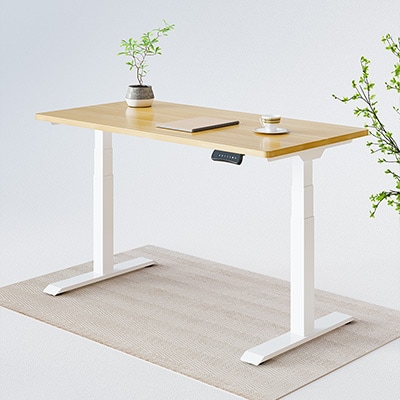 FlexiSpot E7 standing desk in black